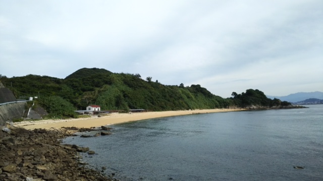 興居島　海水浴