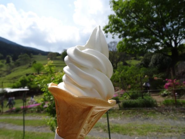 山本牧場　ソフトクリーム