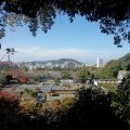 秋に楽しむ！松山市の9月イベントスケジュール