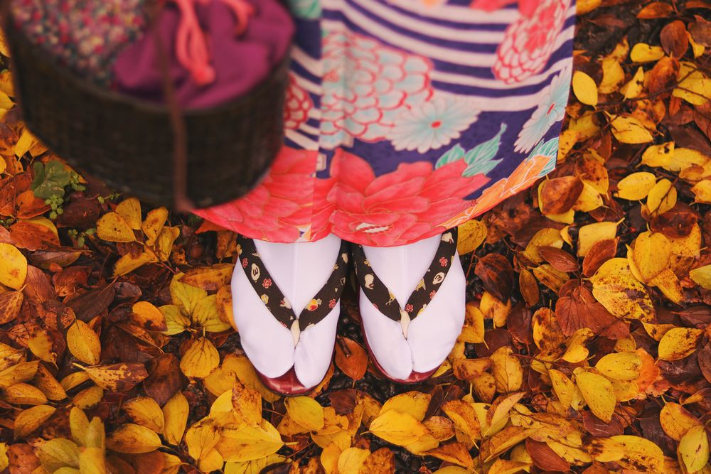 落ち葉　着物