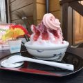 絶品！！愛媛県松山市北条の「いちご庵」のかき氷が美味しすぎる