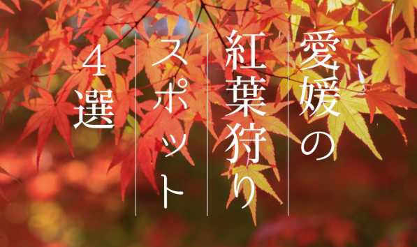 紅葉狩り　愛媛