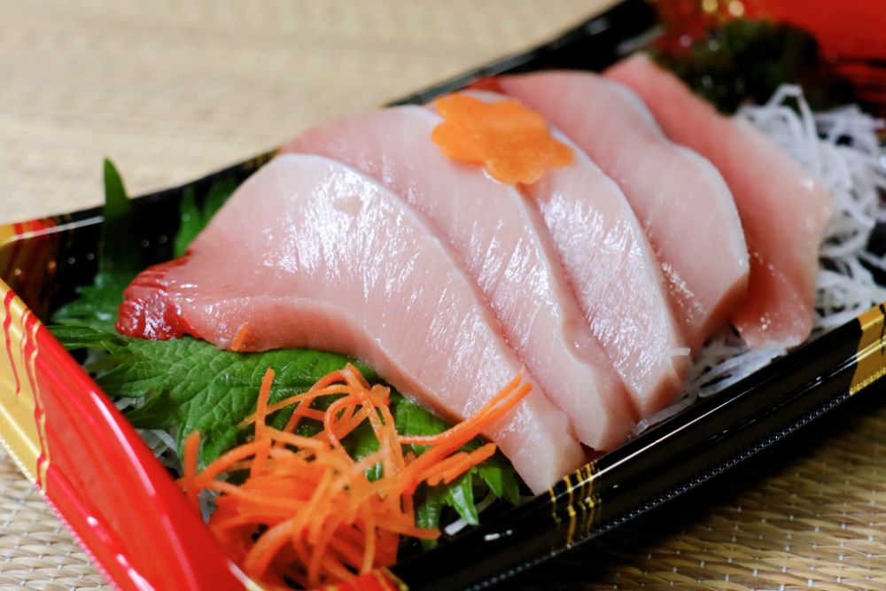 トロける美味しさ 愛媛県産養殖スマが一般販売スタート