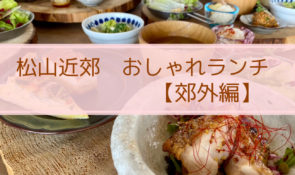愛媛県のおすすめグルメ 美味しいお店の情報 Do Go 愛媛